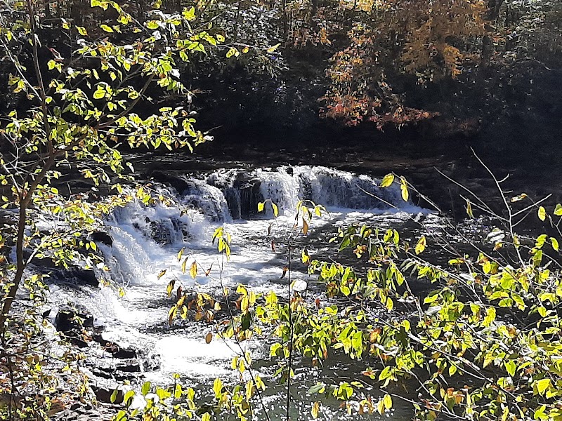 Whitaker Falls: A Hidden Colorado Gem surrounding landscape