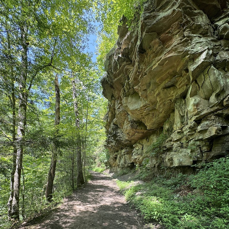Waterfall Wonder: Brush Creek Falls surrounding landscape