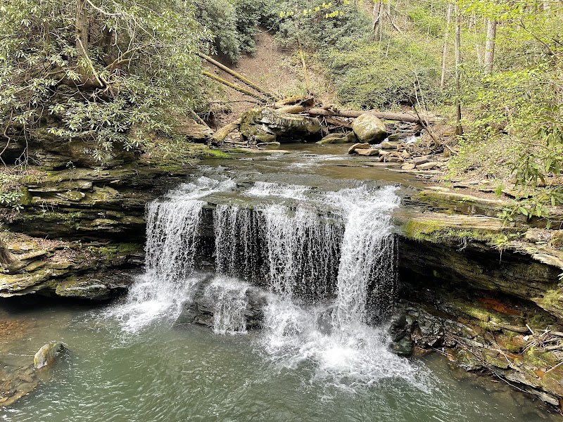 Waterfall Wonders at Finn's Falls - Finn's Falls