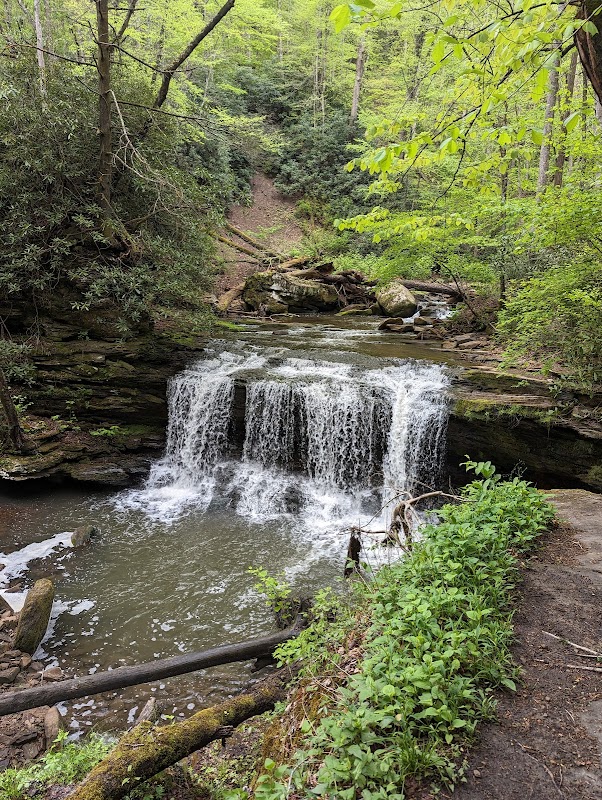 Waterfall Wonders at Finn's Falls surrounding landscape