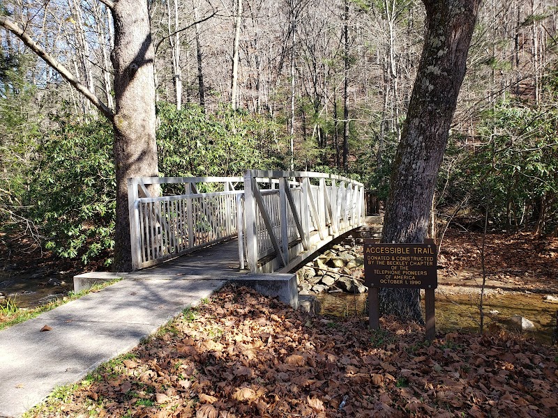 Discovering Mash Fork Falls: A Natural Gem in Camp Creek, WV surrounding landscape
