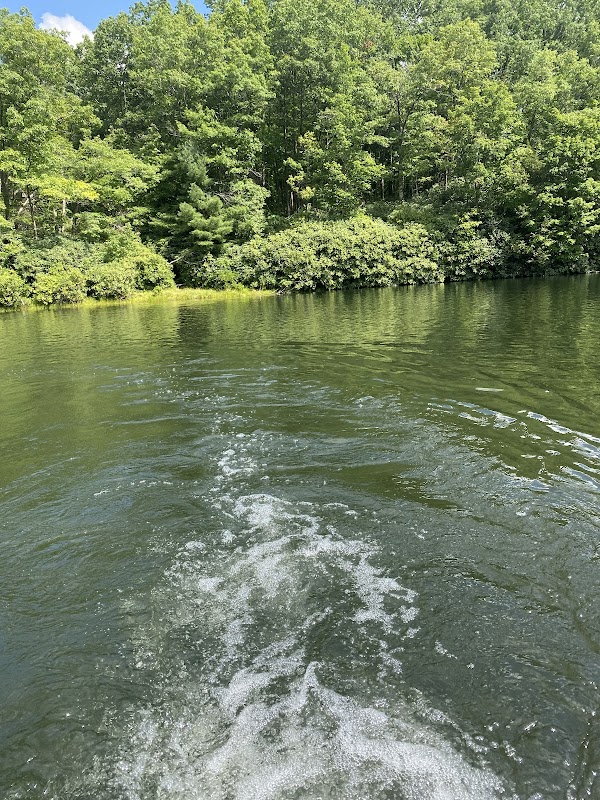 Glade Creek Falls: A Hidden Gem in Raleigh County surrounding landscape