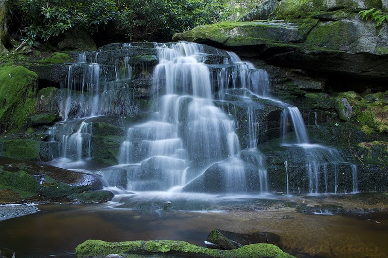 Waterfalls & Wilderness at Elakala Falls outdoor detail