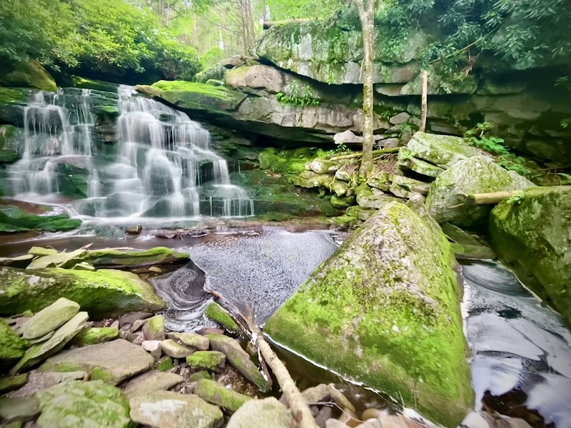 Waterfalls & Wilderness at Elakala Falls surrounding landscape