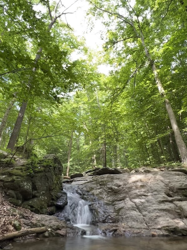 Waterfall Wonder at Cascade Falls surrounding landscape