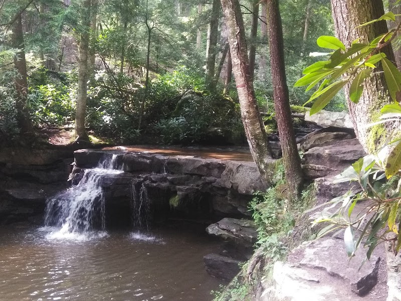 Muddy Creek Falls: A Natural Wonder in Western Maryland surrounding landscape