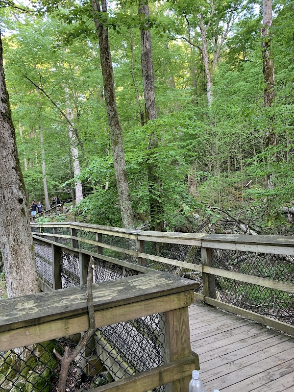 Cunningham Falls: Nature's Cascading Wonder outdoor detail