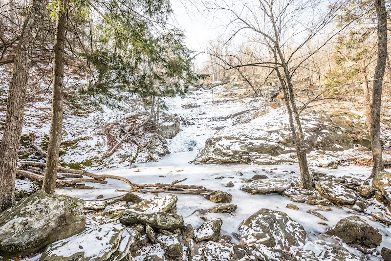 Cunningham Falls: Nature's Cascading Wonder surrounding landscape