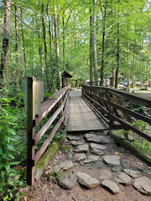 Majestic Beauty: DeSoto Falls in Georgia's Lush Countryside surrounding landscape