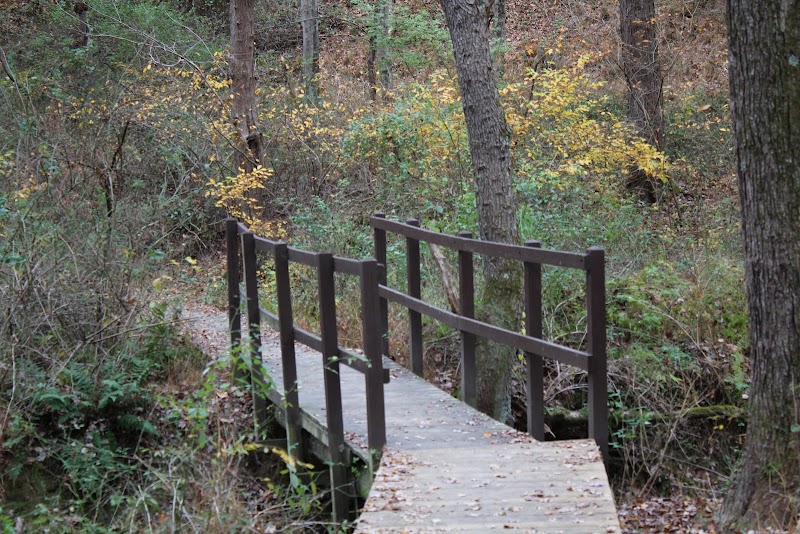 Discovering Kilgore Falls: Nature's Gem in Pylesville - Kilgore Falls