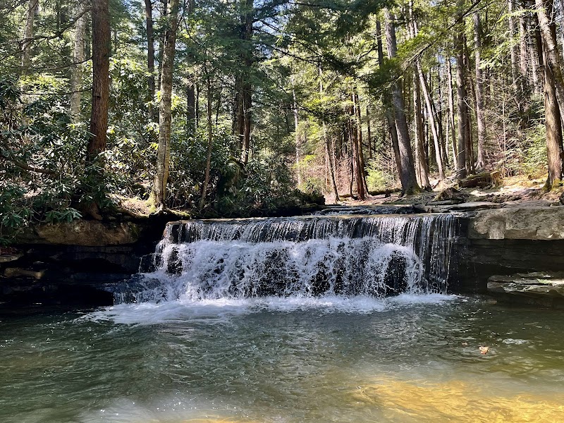 Waterfall Wonders: Tolliver Falls - Tolliver Falls