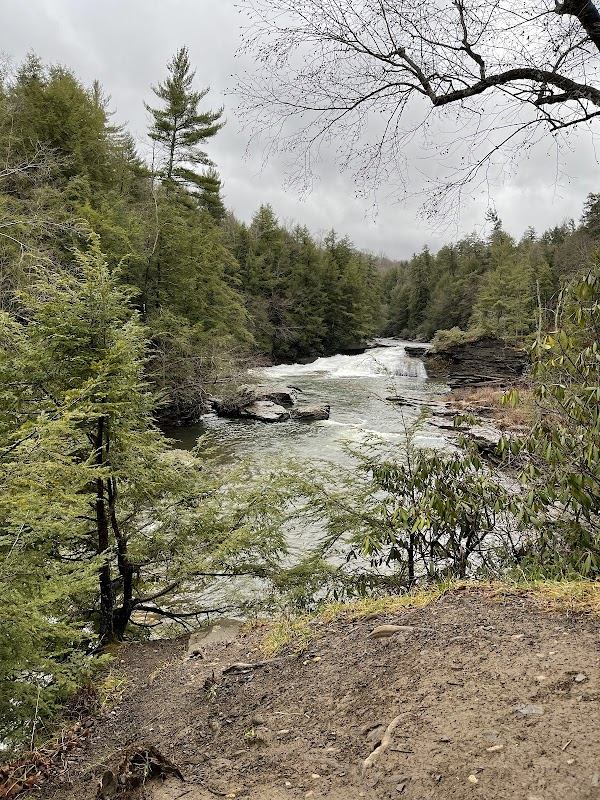 Waterfall Wonders: Tolliver Falls outdoor detail
