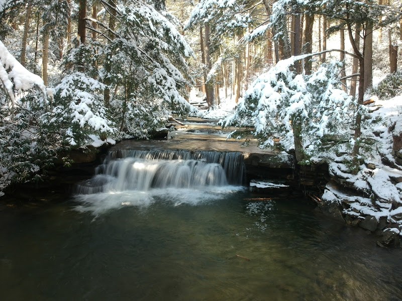 Waterfall Wonders: Tolliver Falls - Tolliver Falls