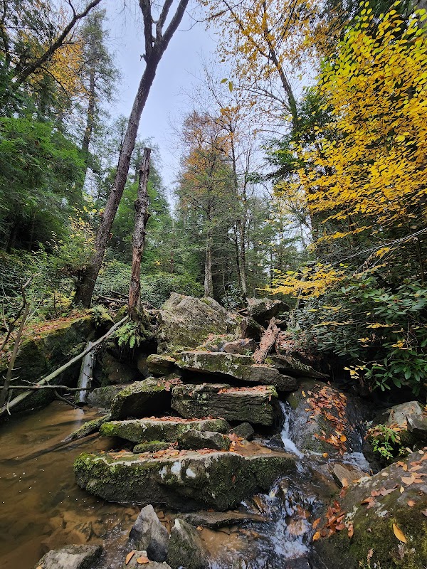 Waterfall Wonders: Tolliver Falls surrounding landscape
