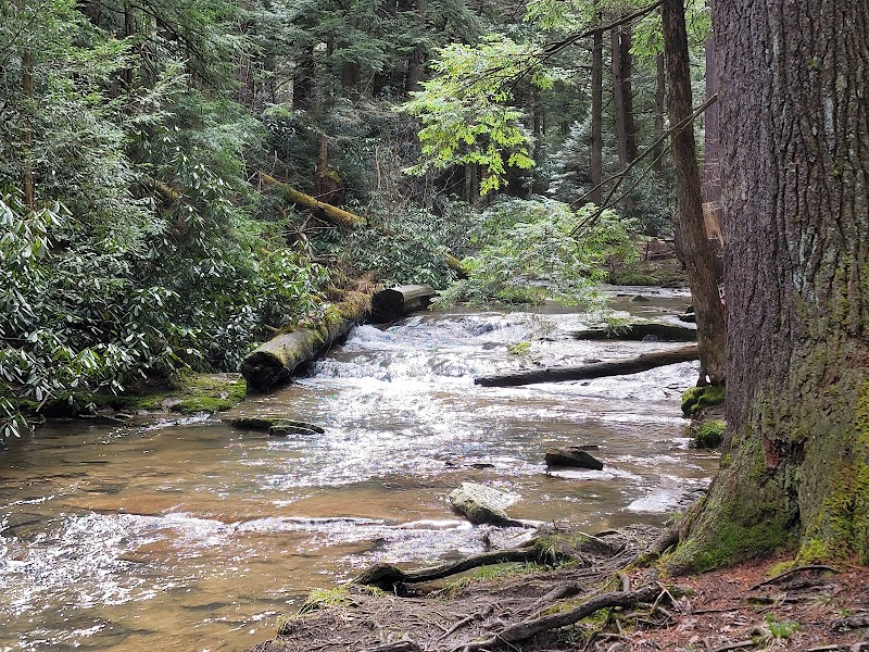 Waterfall Wonders: Tolliver Falls - Tolliver Falls
