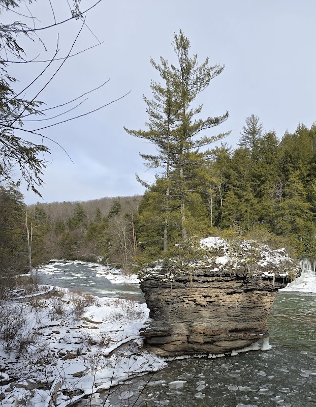 Waterfall Wonder at Upper Swallow Falls outdoor detail