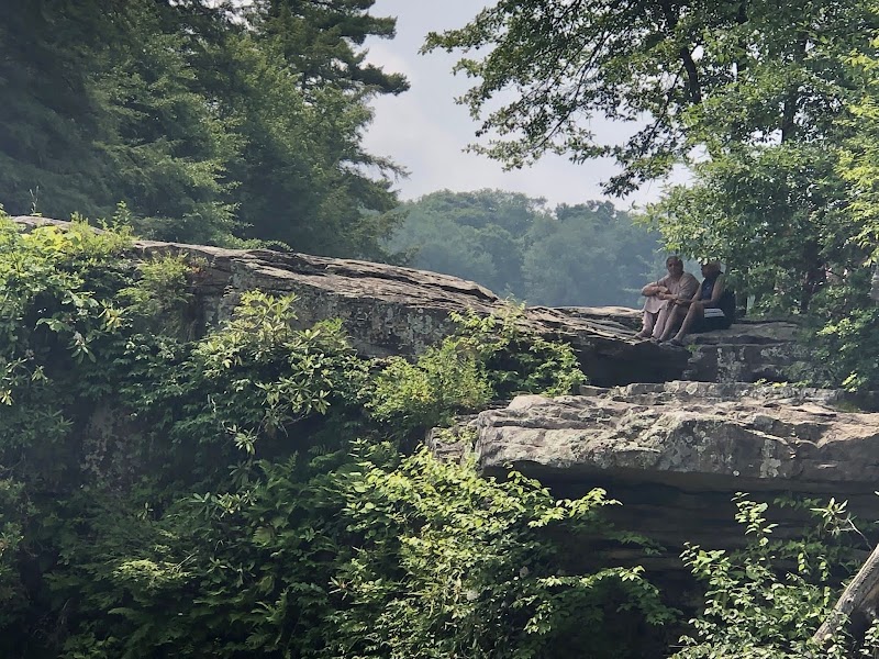 Waterfall Wonder at Upper Swallow Falls surrounding landscape