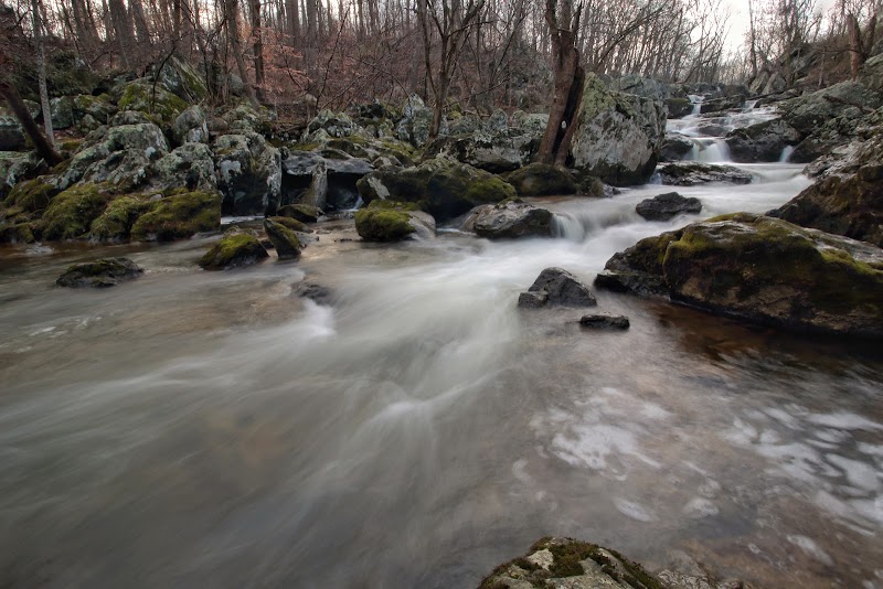 Waterfall Wonders: Gilpins Falls outdoor detail