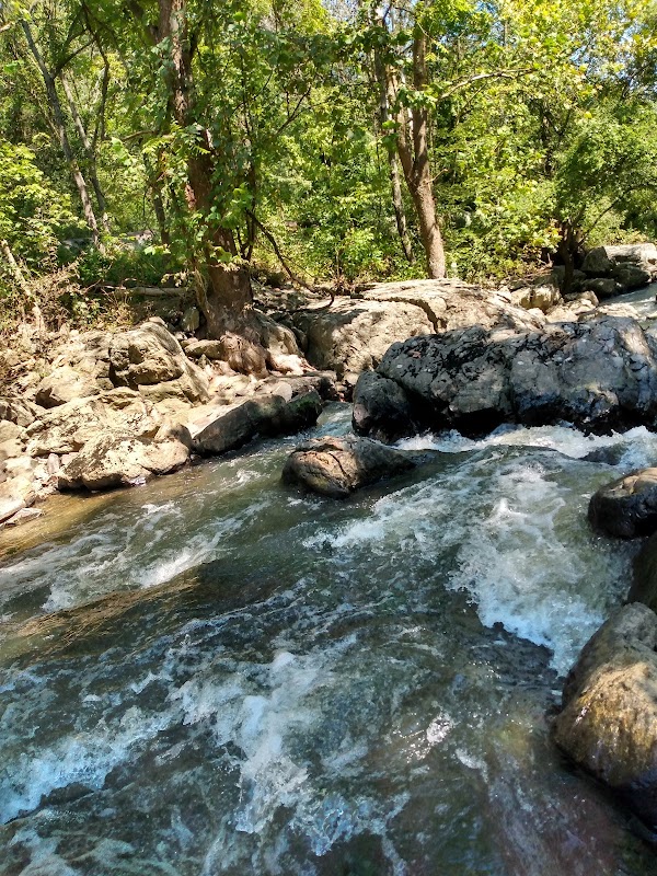 Waterfall Wonders: Gilpins Falls surrounding landscape
