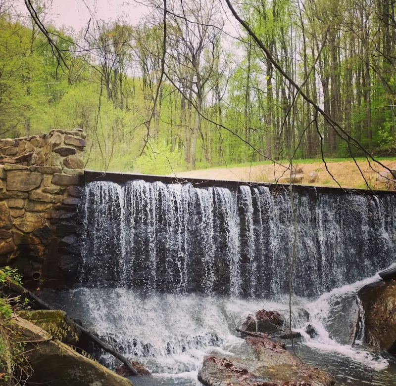 Waterfall Wonder at Amos Falls outdoor detail