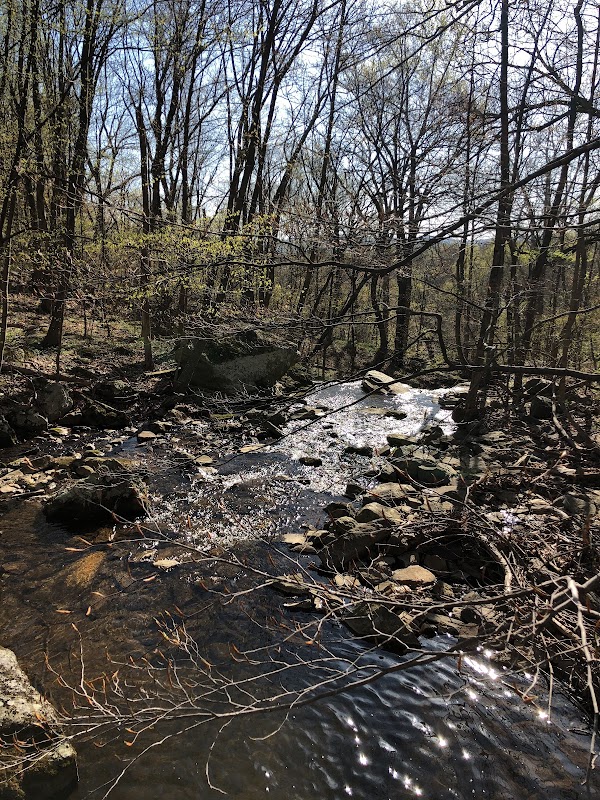 Waterfall Wonder: The Cascade in Maryland outdoor detail