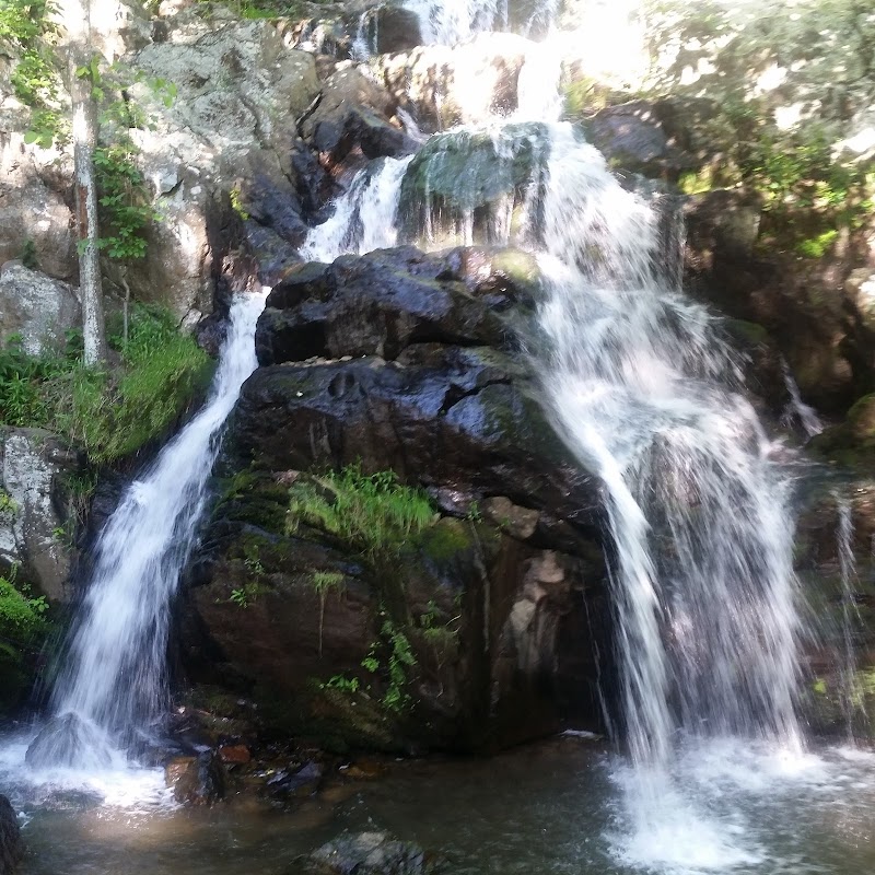 Waterfall Wonder: The Cascade in Maryland surrounding landscape
