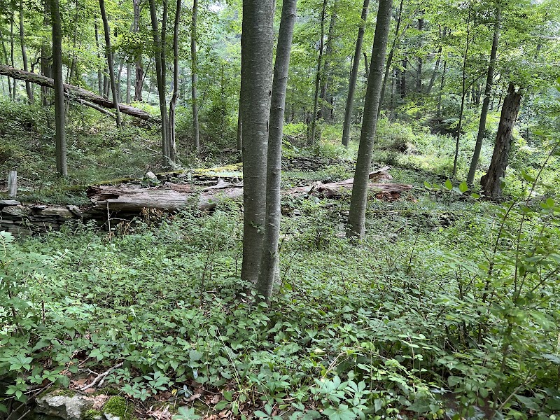 Mysterious Dighton Rock in Berkley outdoor detail