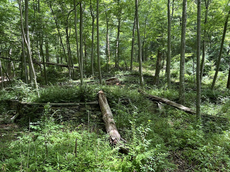 Mysterious Dighton Rock in Berkley - Dighton Rock