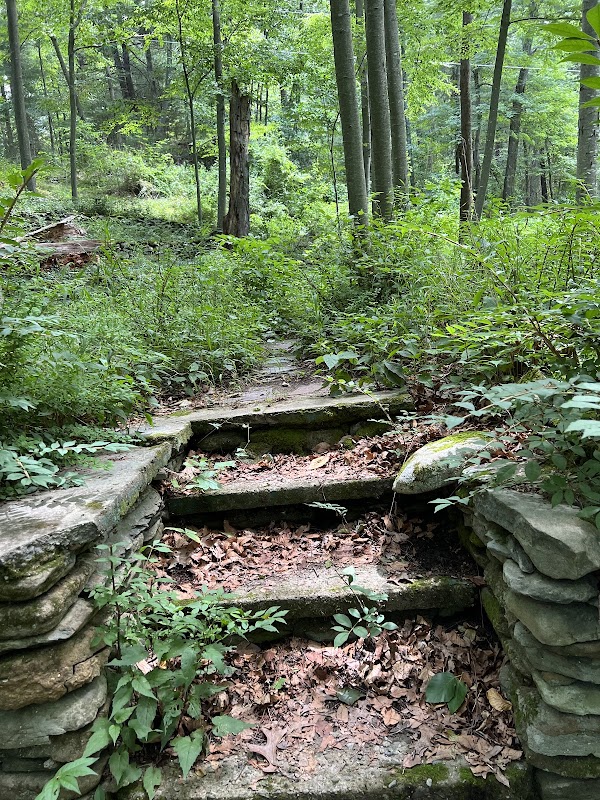 Mysterious Dighton Rock in Berkley - Dighton Rock