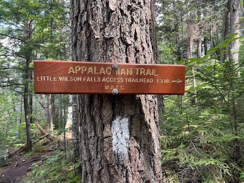 Waterfall Wonder: Little Wilson Falls surrounding landscape