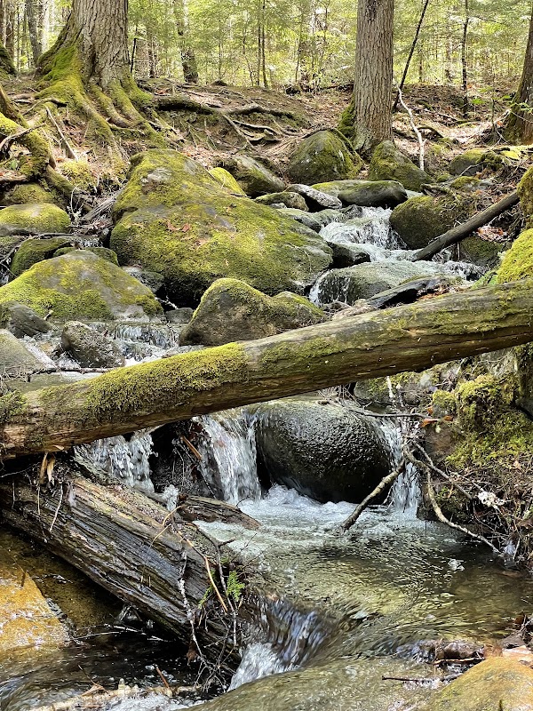 Houston Brook Falls: Nature's Hidden Gem - Houston Brook Falls