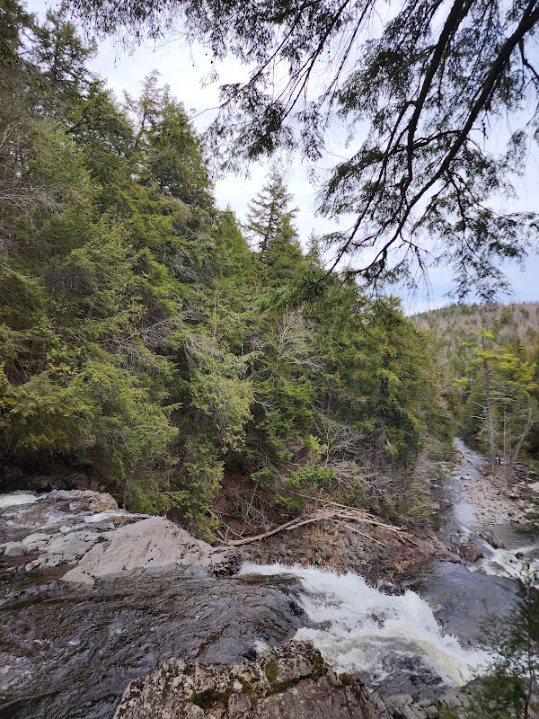 Houston Brook Falls: Nature's Hidden Gem surrounding landscape