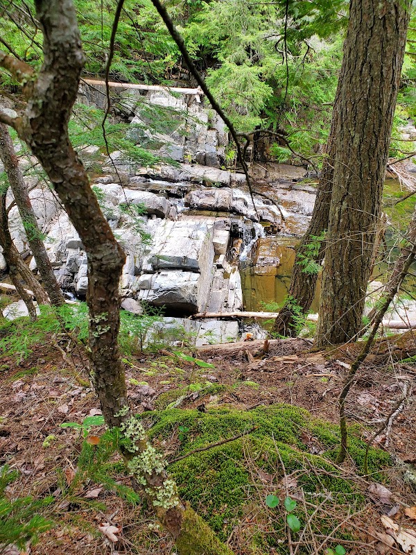 Houston Brook Falls: Nature's Hidden Gem outdoor detail