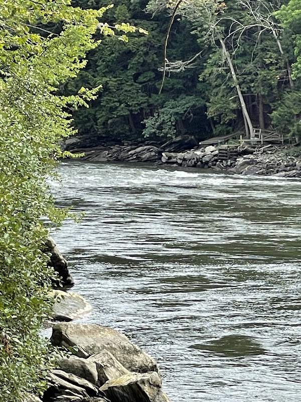 Rushing Waters of Presumpscot Falls surrounding landscape