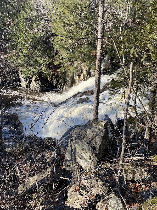 Discover the Beauty of Monroe Falls surrounding landscape