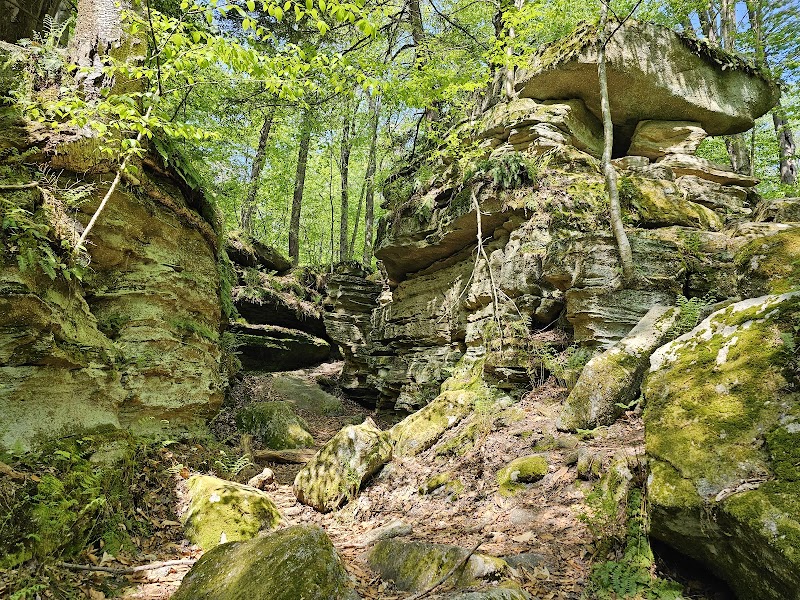 Discover the Enchanting Panama Rocks surrounding landscape