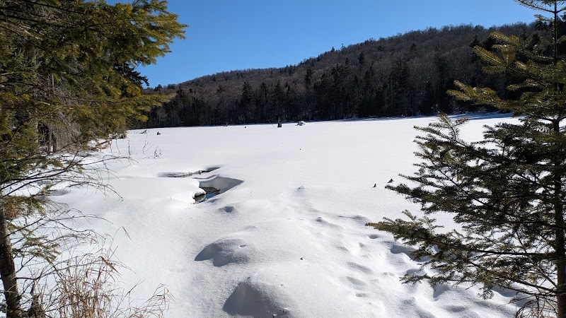 Wilderness Adventure at Siamese Ponds Wilderness surrounding landscape