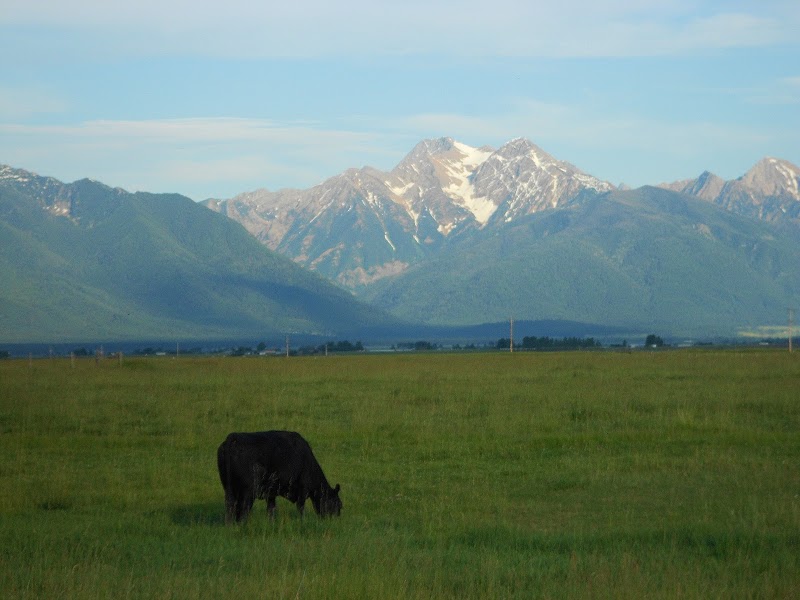Majestic Peaks of the Mission Mountains outdoor detail