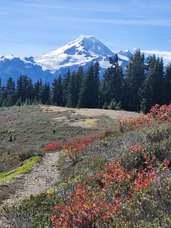 Hiking Through Excelsior Pass Trailhead - Excelsior Pass Trailhead