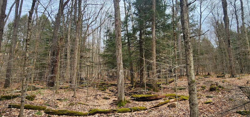 Bridal Falls: A Hidden Gem in Salamanca, NY surrounding landscape