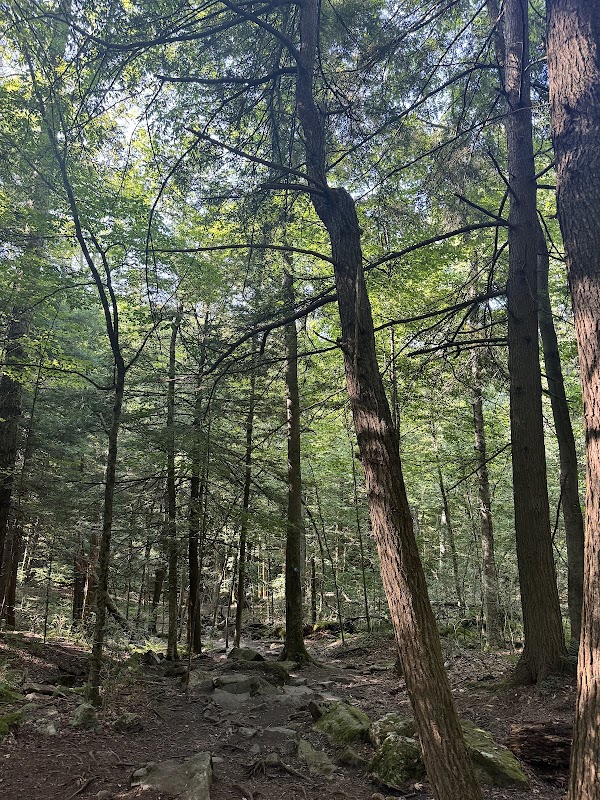 Bridal Falls: A Hidden Gem in Salamanca, NY outdoor detail