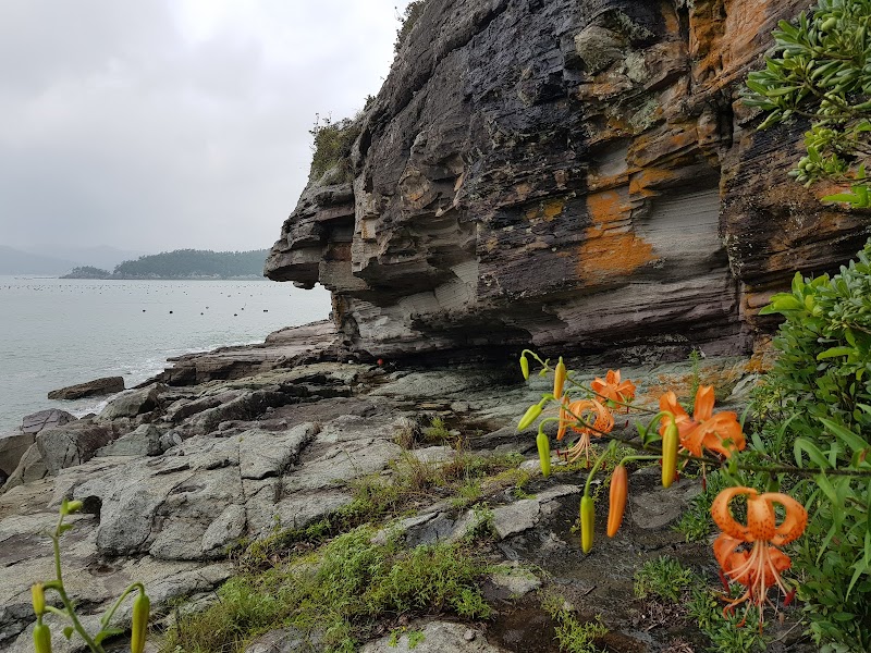 Scenic Serenity at Jindo-gun: A Natural Retreat - Jindo-gun