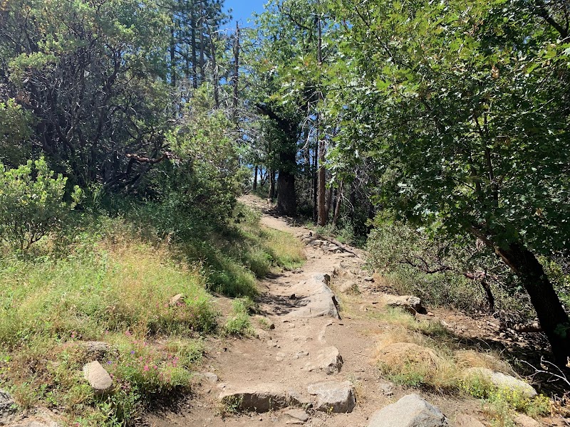 Discover Artist Point Trail in the Heart of Yosemite surrounding landscape