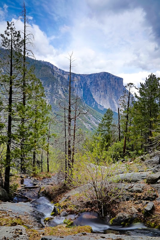Discover Artist Point Trail in the Heart of Yosemite outdoor detail