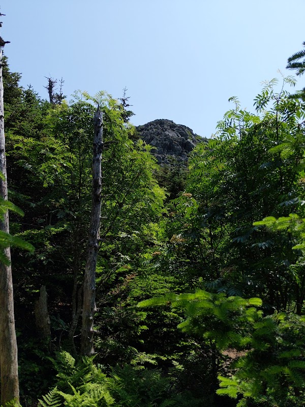 The Majestic Bigelow Mountain: West Peak outdoor detail