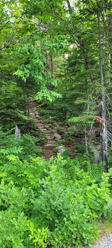 A Journey Through Nature's Splendor: Little Bigelow Trail Head surrounding landscape