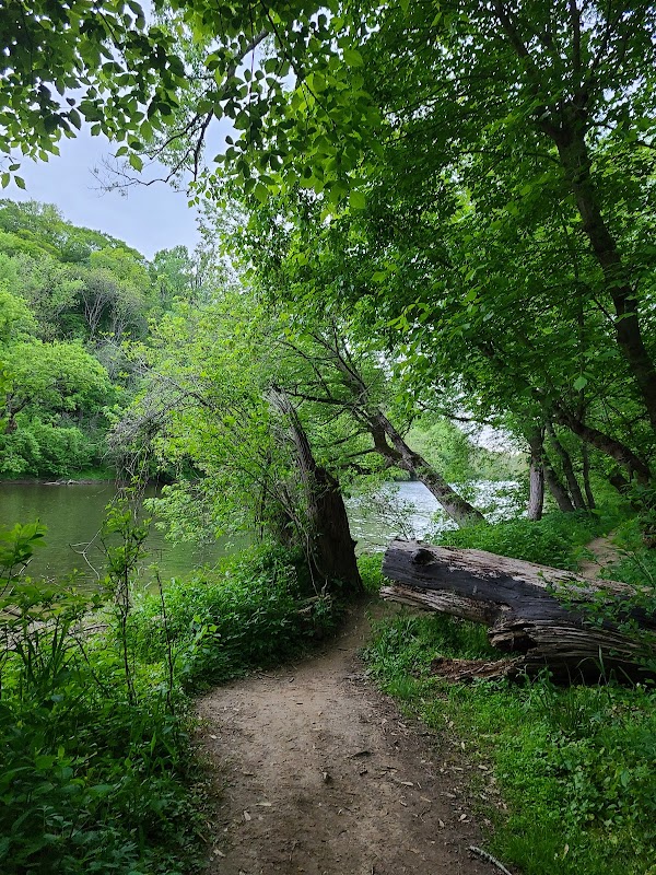 Exploring the Natural Beauty of Brandywine Creek State Park surrounding landscape