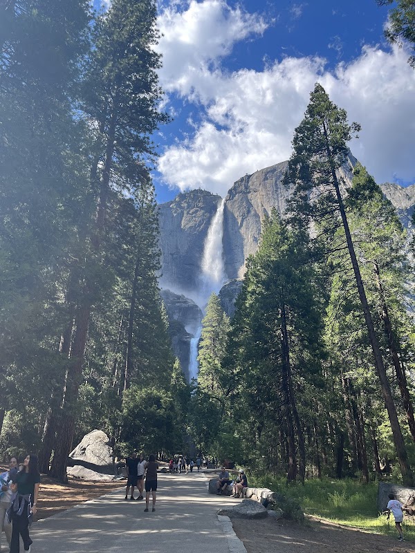 Cascading Beauty: Lower Yosemite Fall - Lower Yosemite Fall