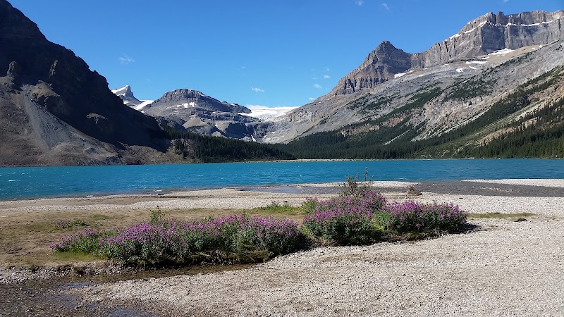 Waterfall Adventure: Bow Glacier Falls - Bow Glacier Falls