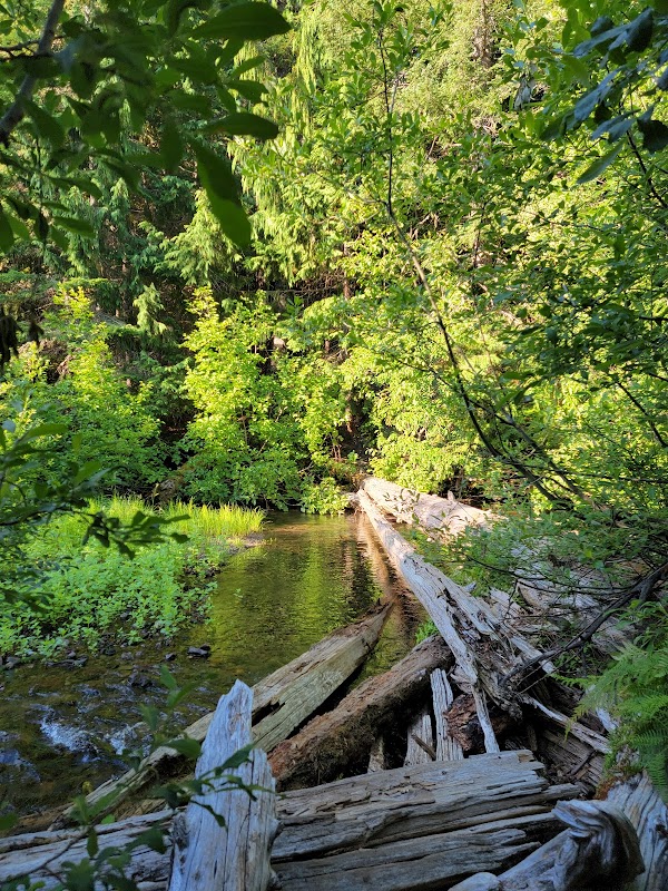 Waterfalls of Walupt Creek: A Hidden Gem in Washington's Wilderness outdoor detail